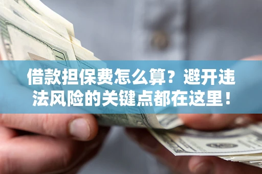 济南借款担保费怎么算？避开违法风险的关键点都在这里！
