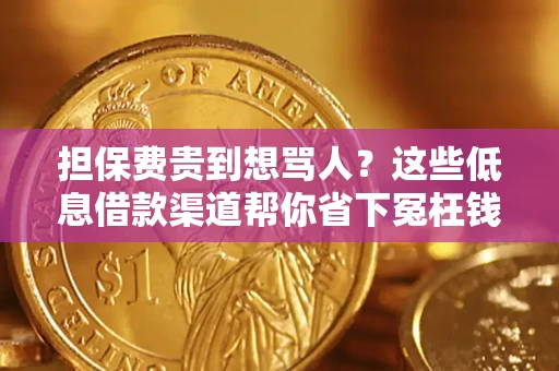 济南担保费贵到想骂人？这些低息借款渠道帮你省下冤枉钱