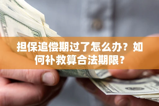 济南担保追偿期过了怎么办？如何补救算合法期限？