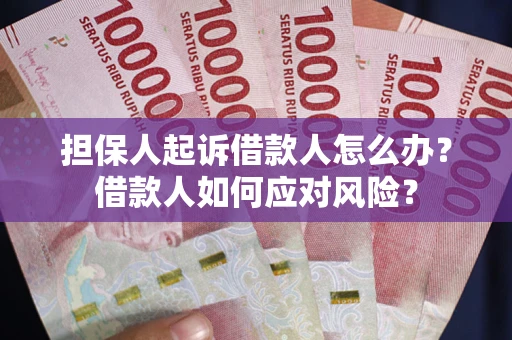 济南担保人起诉借款人怎么办？借款人如何应对风险？