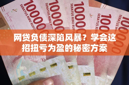 济南网贷负债深陷风暴？学会这招扭亏为盈的秘密方案